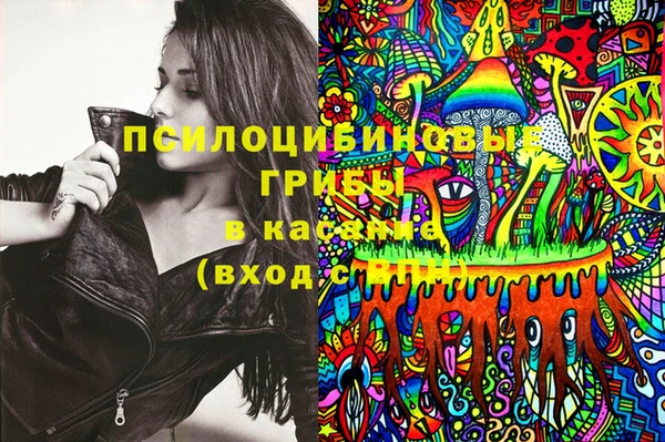 MDMA Premium VHQ Бронницы