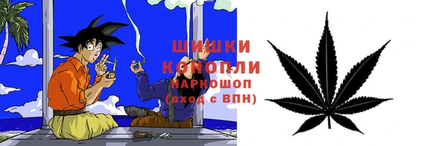гидропоника Бородино