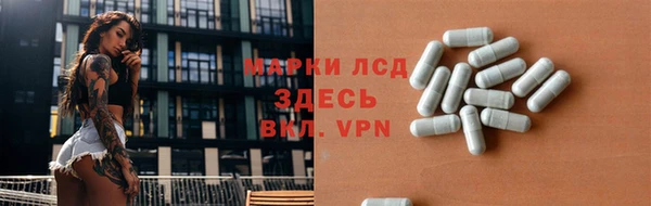 гидропоника Бородино