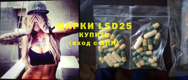 гидропоника Бородино