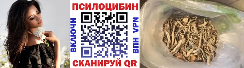 мориарти клад  Брянск  Галлюциногенные грибы Magic Shrooms  дарнет шоп 